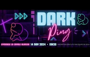 Dark ping 2024