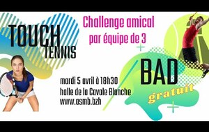 Challenge de Touch' Tennis Badminton